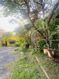 お庭がスッキリしました！