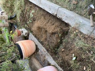 レイズドベッド???