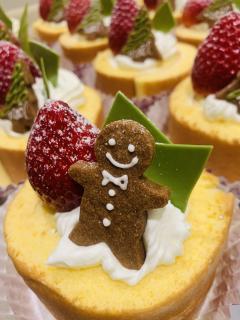 可愛いジンジャー君♪