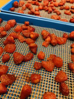 いちごのドライも作っております^_^！