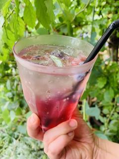 ブルーベリーのスパイスサワー！ノンアルコールです^_^！